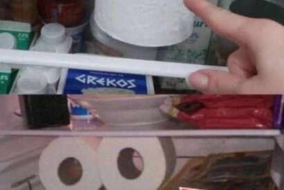 Thumbnail for Put a roll of paper towel in your fridge: electricity bill is halved and your family will get these amazing benefits