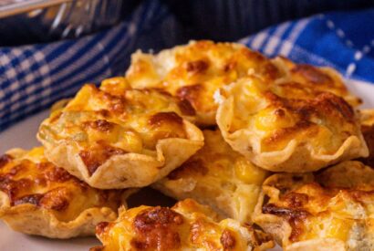 Thumbnail for Iowa Party Bites