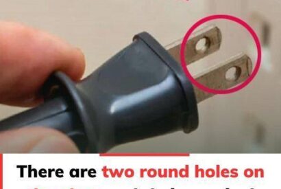 Thumbnail for This plug has two round holes, but most people don’t know their clever purpose.